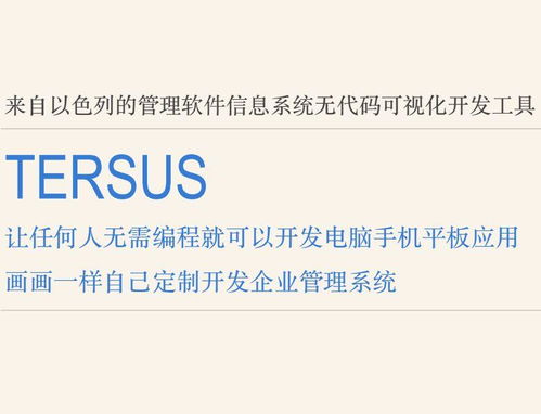 画画一样开发软件 Tersus让任何人可以无代码开发手机电脑软件