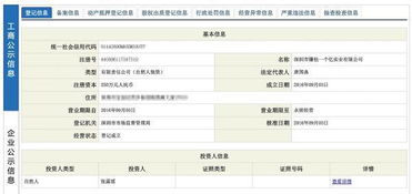 从“赚他一个亿”到公司启航 计算机软件开发创业指南