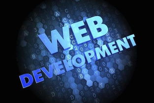 数字时代的黄金赛道 为何计算机软件开发仍是“最有前途”的专业之选？